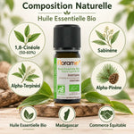 Huile essentielle Ravintsara bio Florame 10ml avec composition naturelle et ingrédients actifs