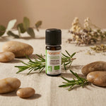 Huile essentielle romarin camphre bio Florame 10ml avec brins frais et pierres