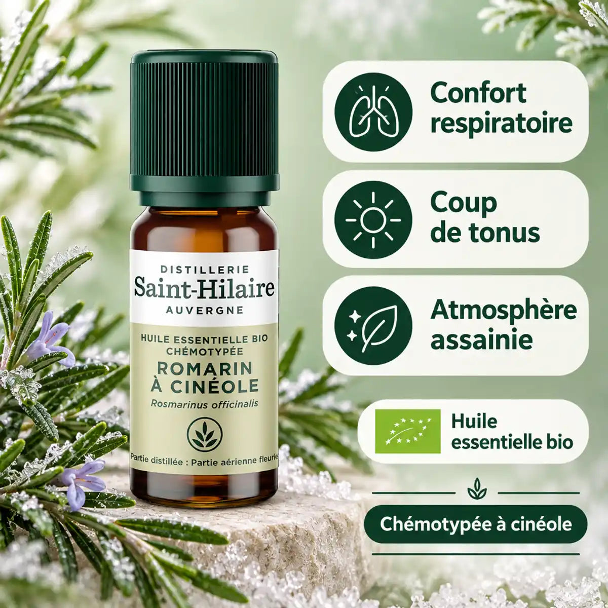 Huile essentielle de romarin à cinéole bio Saint-Hilaire 10 ml, flacon ambre et bénéfices respiratoires
