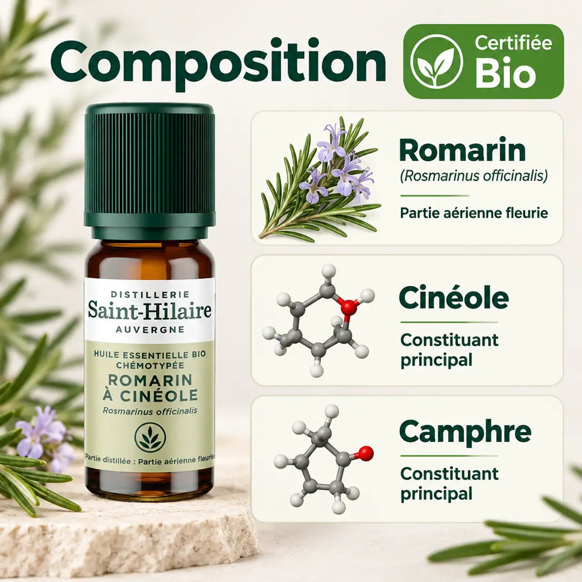 Flacon 10 ml d'huile essentielle de romarin à cinéole bio Saint-Hilaire, fiche composition romarin, cinéole et camphre