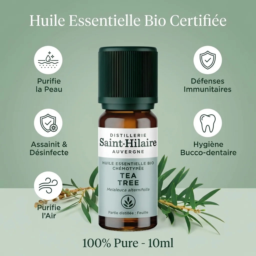 Huile essentielle Tea Tree Bio Saint-Hilaire 10ml avec bénéfices peau, immunité et hygiène