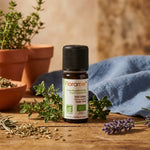 Huile essentielle de thym bio Florame 5ml avec brins de thym frais et herbes séchées
