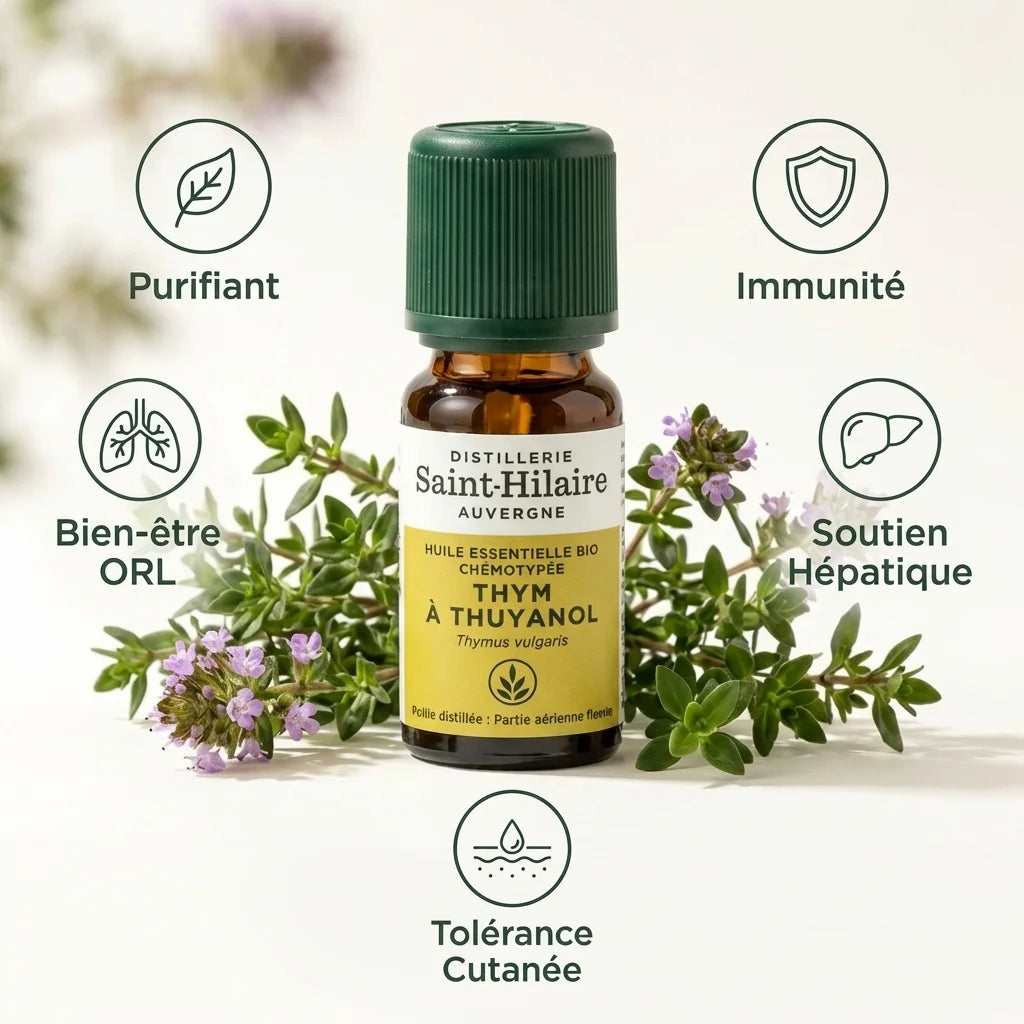 Huile essentielle thym thuyanol bio 5ml Saint-Hilaire avec bénéfices purifiant, immunité et bien-être ORL