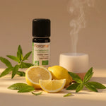 Huile essentielle Verveine Yunnan Bio Florame 10ml avec feuilles fraîches et diffuseur aromathérapie