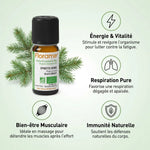 Huile essentielle épinette noire Florame 5ml avec bénéfices : énergie, respiration, muscles et immunité