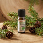 Huile essentielle d'épinette noire bio Florame 5ml avec branches de sapin