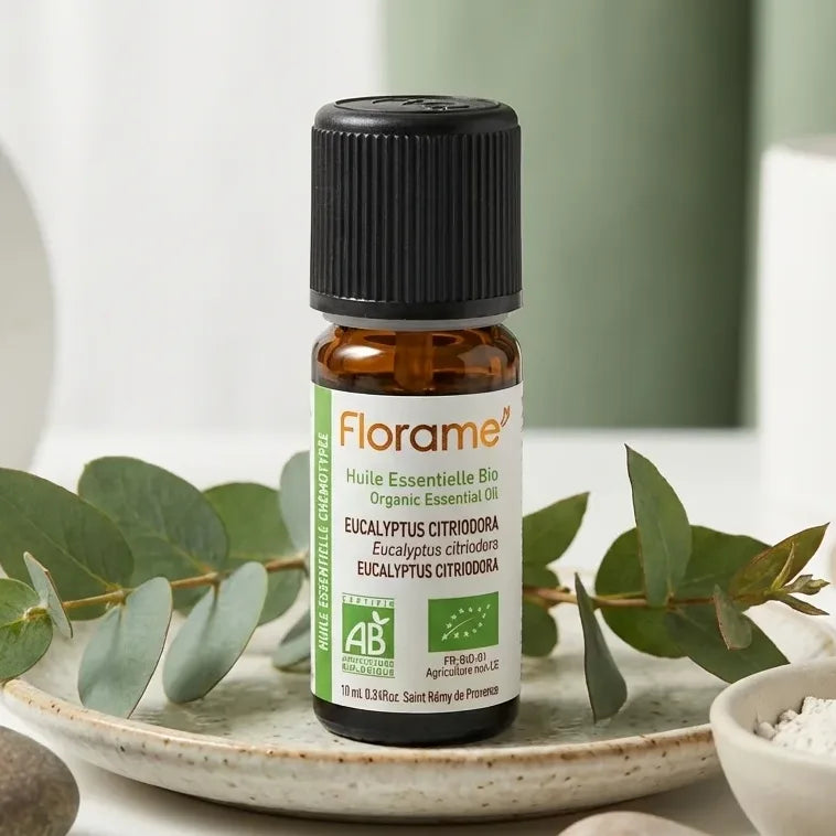 Huile essentielle eucalyptus citriodora bio Florame 10ml avec feuilles fraîches
