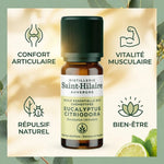 Huile essentielle eucalyptus citronné bio Saint-Hilaire 10ml avec bénéfices confort articulaire et vitalité