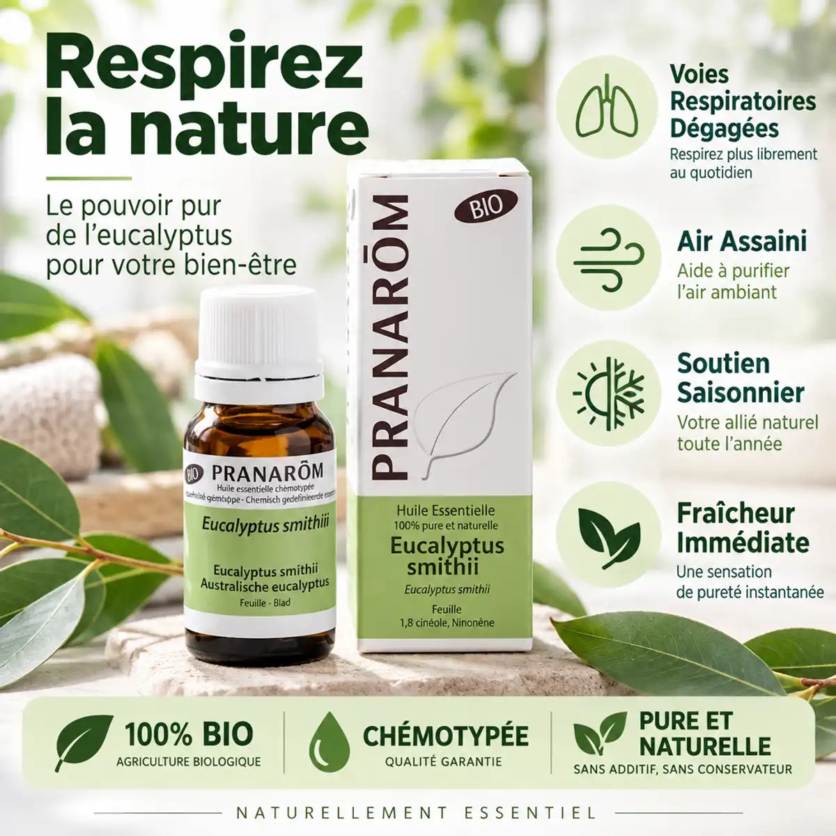 Huile essentielle Eucalyptus smithii bio Pranarom 10ml avec feuilles fraîches et bénéfices respiratoires