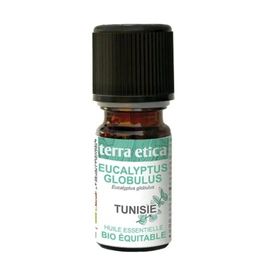 Flacon de 5ml d'huile essentielle d'Eucalyptus globulus de la marque Terra Etica