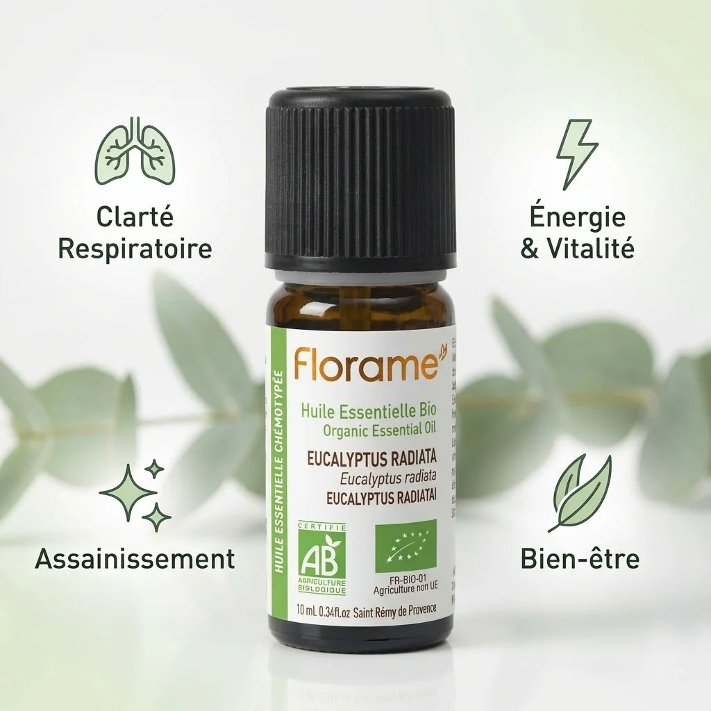 Huile essentielle eucalyptus radiata bio Florame 10ml avec bénéfices respiratoires et vitalité