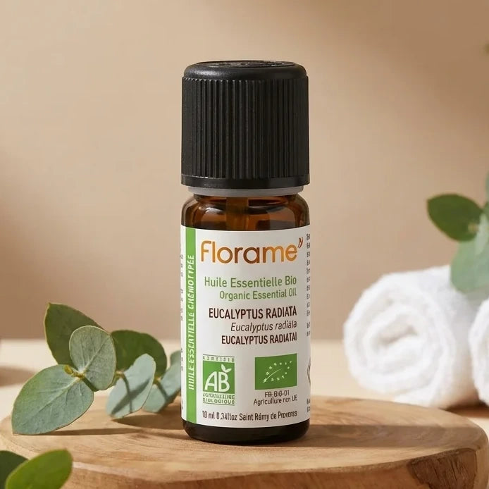 Huile essentielle eucalyptus radiata bio Florame 10ml avec feuilles et accessoires spa