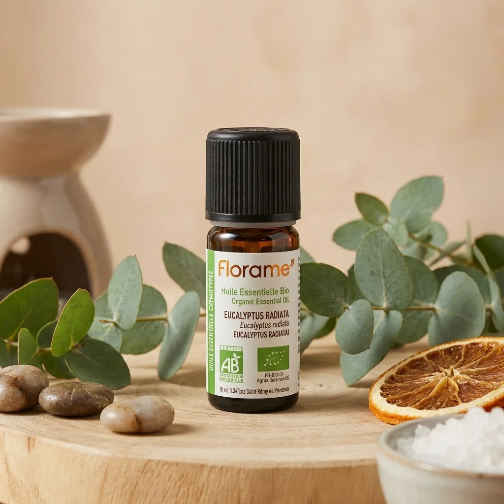Huile essentielle eucalyptus radiata bio Florame 10ml flacon ambré sur feuilles fraîches