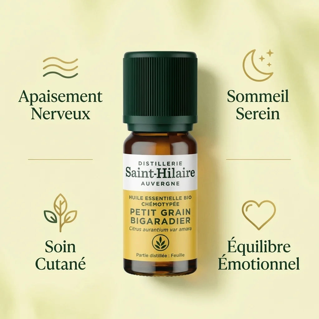 Huile Essentielle Petit Grain Bigaradier Bio 10ml Saint-Hilaire avec ses 4 bénéfices : apaisement nerveux, sommeil, soin cutané, équilibre émotionnel