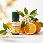 Huile essentielle Petit Grain Bigaradier bio Saint-Hilaire 10ml avec fleurs d'oranger et agrumes