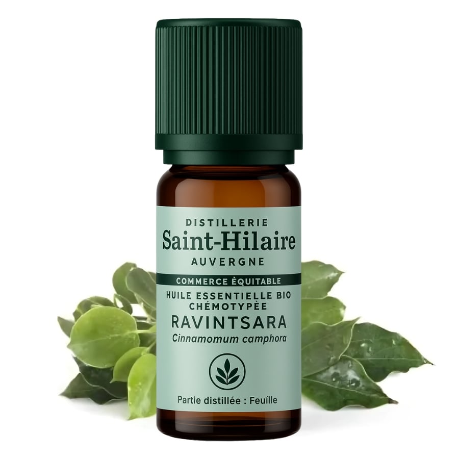 Huile Essentielle Ravintsara Bio 10 ml | Saint-Hilaire