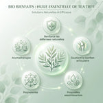 Infographie huile essentielle tea tree bio : 5 bénéfices avec icônes et feuilles d'eucalyptus