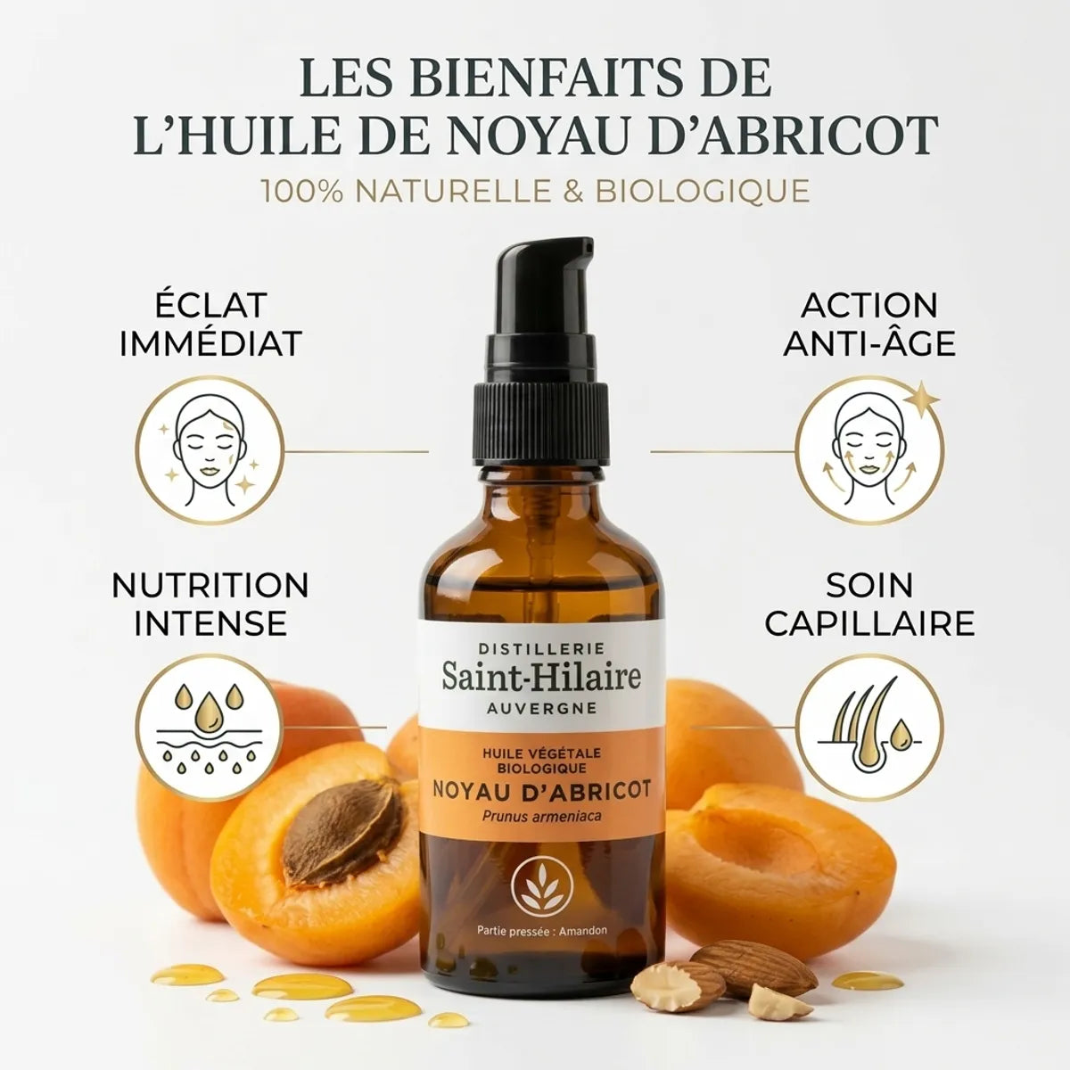 Huile végétale d'abricot bio Saint-Hilaire 50ml avec abricots frais et bénéfices pour la peau