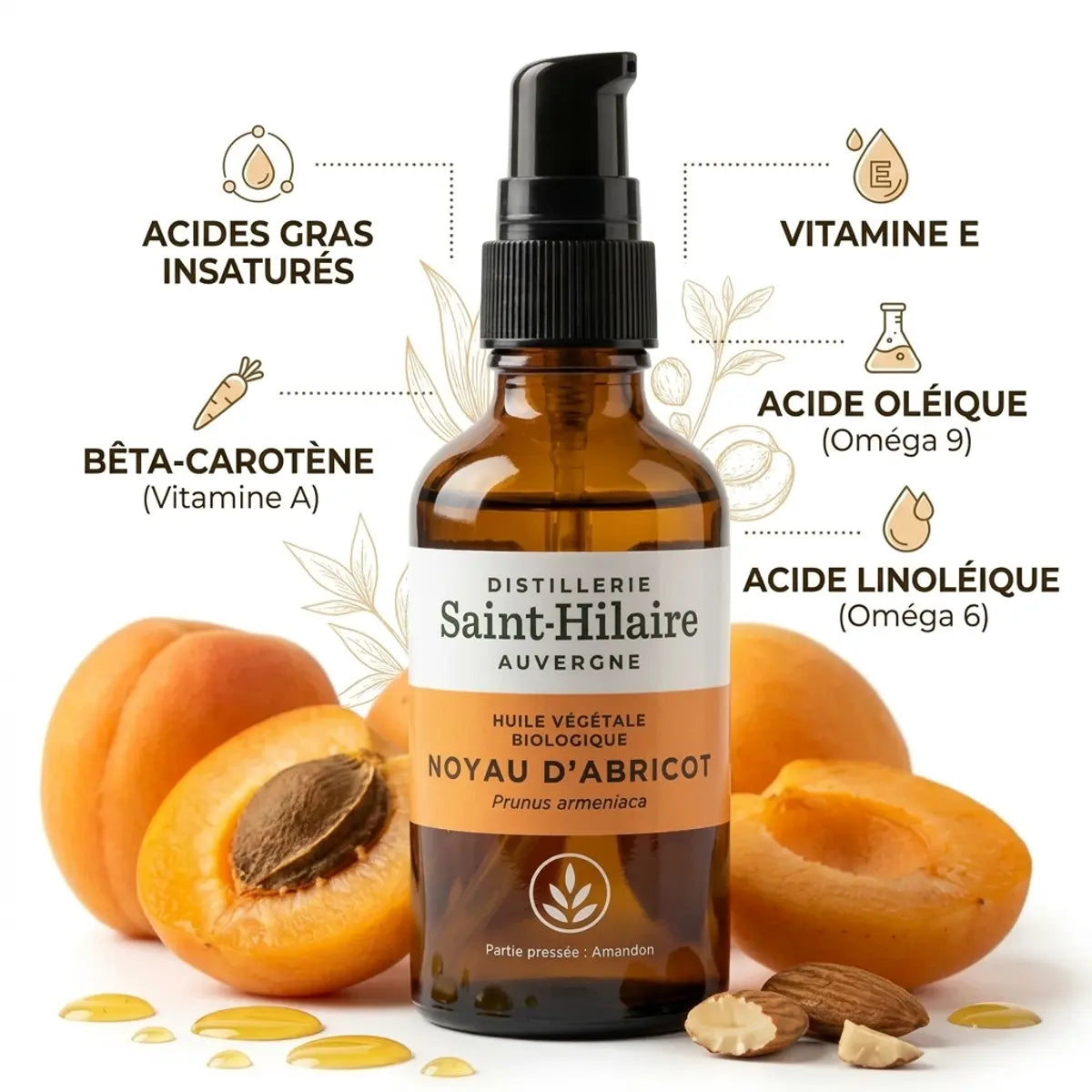 Huile végétale d'abricot bio Saint-Hilaire 50ml avec flacon ambré et infographie des acides gras