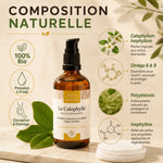 Huile Calophylle Bio 100ml Comptoir des Huiles anti-cernes poches - composition naturelle pression froid
