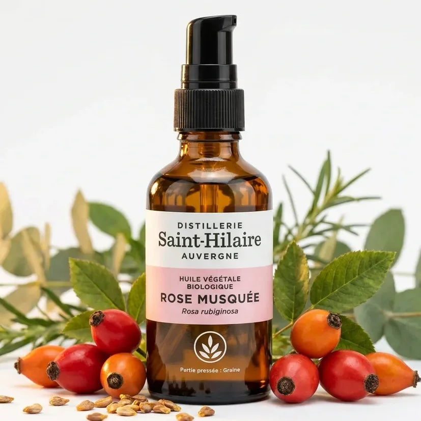Huile végétale rose musquée bio 50ml Saint-Hilaire avec fruits et graines, flacon en verre ambré
