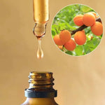 Zoom sur la pipette du flacon de l'huile d'Abricot Bio Comptoir des Huiles