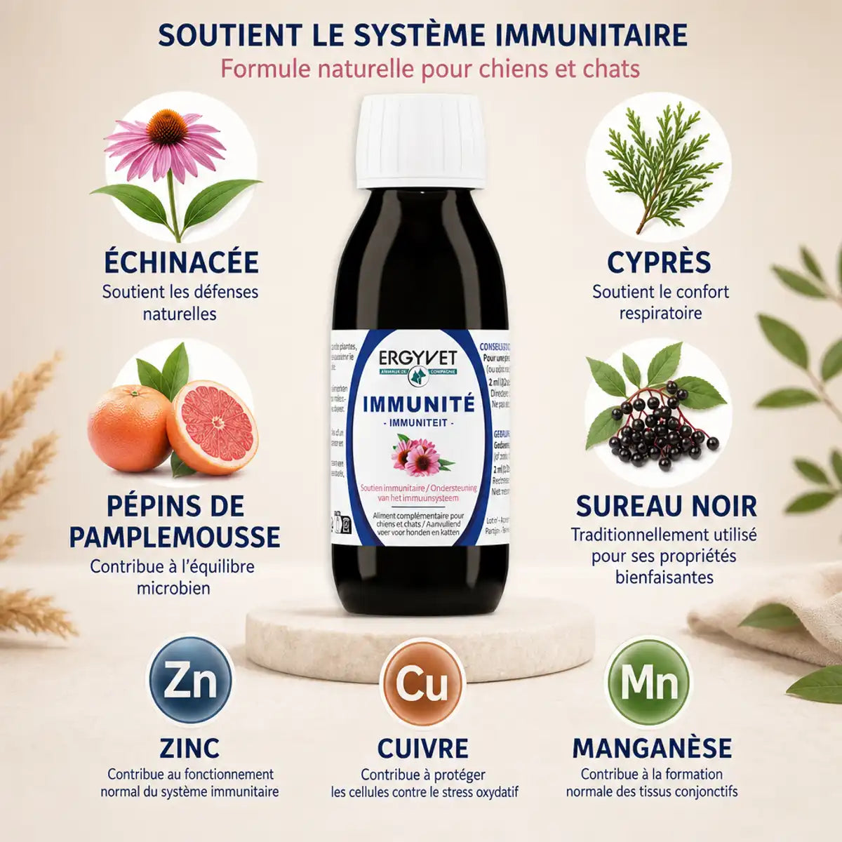 Flacon Ergyvet Immunité 100ml avec ingrédients naturels échinacée cyprès pépins pamplemousse sureau noir