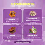 Les 4 ingrédients du Mush n Go Immunité complément alimentaire gélules Oyster Chaga Reishi.
