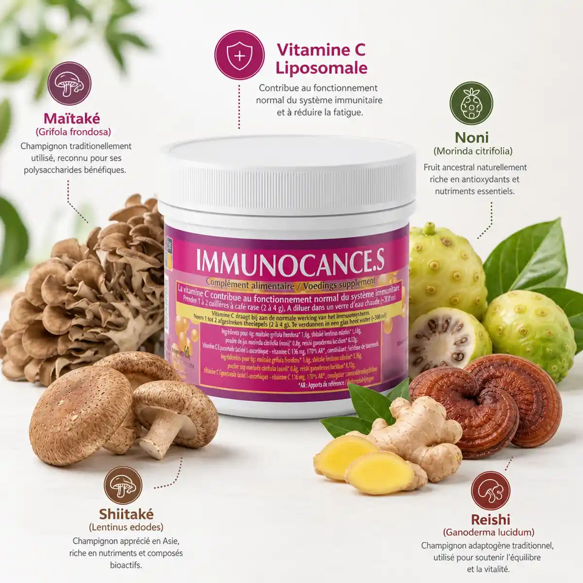 Immunocance Jade Recherche 60g avec ingrédients naturels : maïtaké, shiitaké, reishi et vitamine C