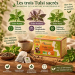 Boîte Tulsi Bio AyurVana 25 infusettes avec variétés sacrées Rama, Krishna, Vana sur surface bois
