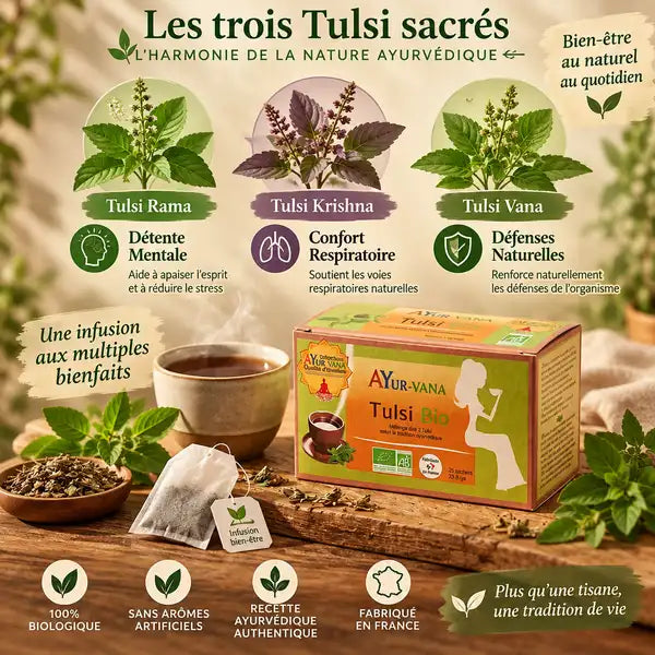 Boîte Tulsi Bio AyurVana 25 infusettes avec variétés sacrées Rama, Krishna, Vana sur surface bois