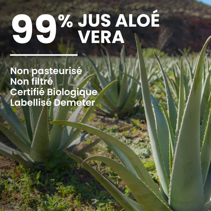 Composition de 99% de pur jus d'aloé vera non pasteurisé, non filtré, bio et labellisé Demeter