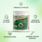 Jus d'herbe de blé bio SFB 200g avec bénéfices : énergie, immunité, détoxification et minéralisation