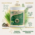 Poudre jus d'herbe de blé bio 200g SFB Laboratoires avec chlorophylle, fer et magnésium