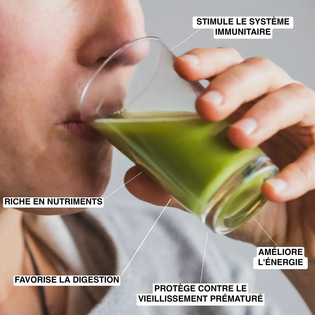 Les bienfaits sur la santé du Jus d'herbe de blé bio