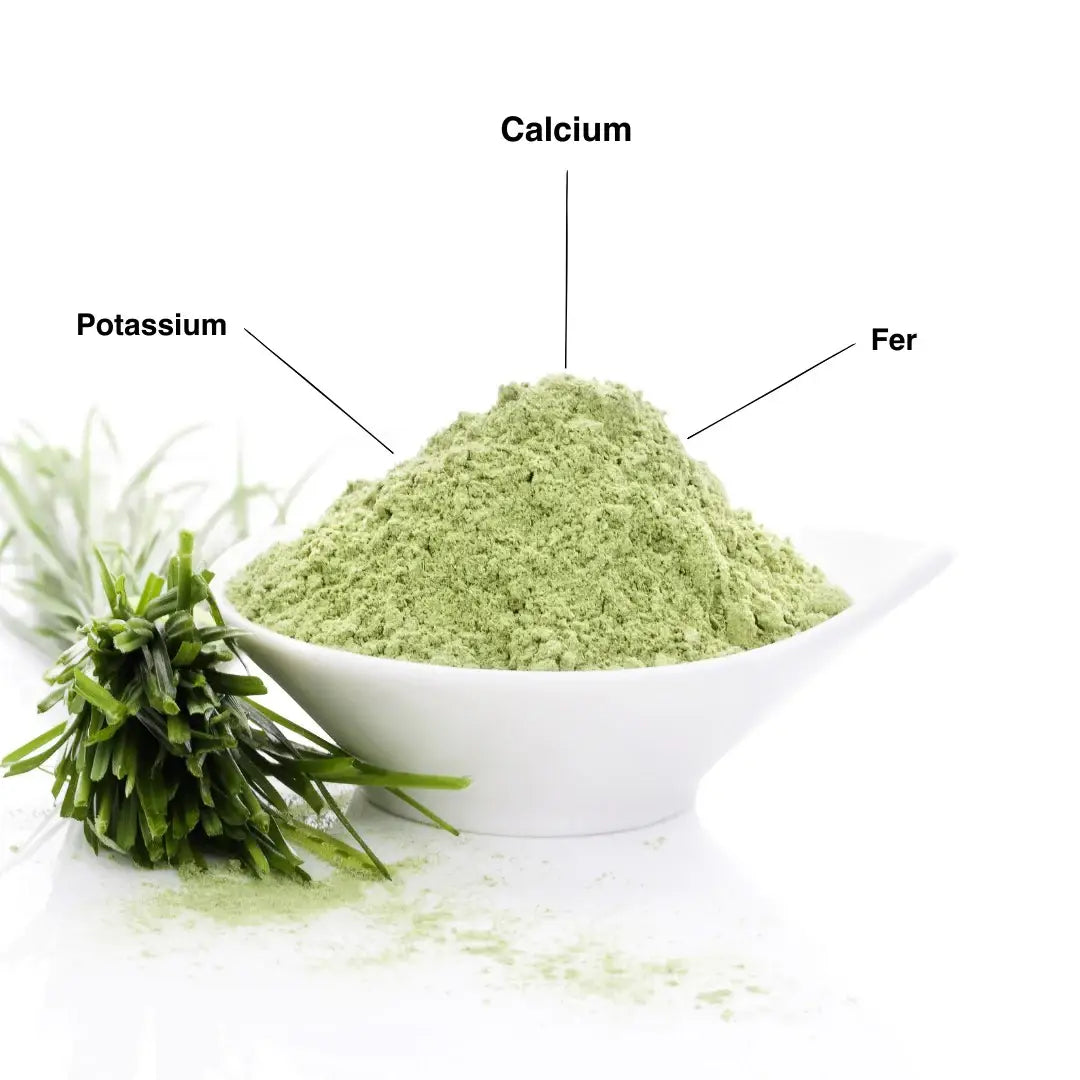 Les minéraux contenus dans la poudre de Jus d'herbe de blé bio
