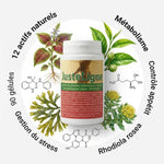 Justeligne 90 gélules équilibre poids avec ingrédients naturels Coleus Forskohlii thé vert L-Carnitine