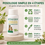 Kitaverm vermifuge naturel chien chat - guide posologie 4 étapes avec infographie dosage