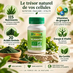 Klamath bio 60 gélules Aosa Véritable avec spiruline, 115 nutriments et 20 acides aminés