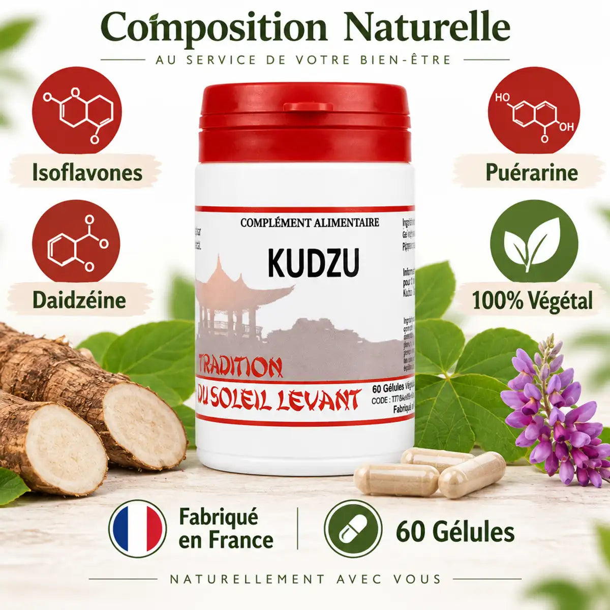 Flacon Kudzu 60 gélules rouge et blanc avec infographies d'ingrédients naturels et illustration plante kudzu