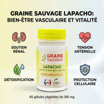 Lapacho 60 gélules Graine Sauvage - Bénéfices rénaux, tension artérielle et détoxification