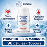 Lécithine marine Qualidiet 90 gélules avec bénéfices mémoire, santé cardiovasculaire et énergie