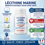 Flacon Lécithine Marine Qualidiet 90 gélules - Phospholipides et Oméga-3 pour mémoire