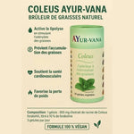Les bienfaits du Coleus forskohlii Ayur-Vana, extrait standardisé à 10 % de forskoline pour soutenir la gestion du poids naturellement.