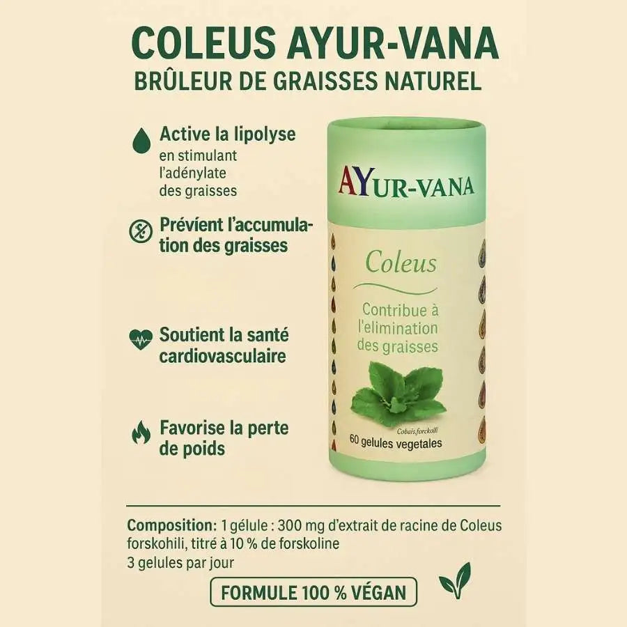 Les bienfaits du Coleus forskohlii Ayur-Vana, extrait standardisé à 10 % de forskoline pour soutenir la gestion du poids naturellement.