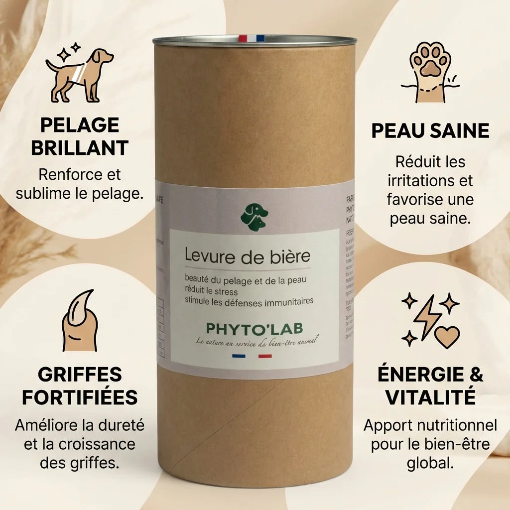 Levure de Bière Phyto'lab pour chien et chat - Infographie bénéfices santé du poil et peau