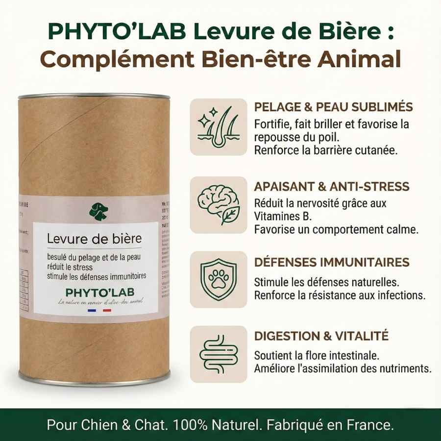 Bienfaits de la levure de bière de la marque phyto'lab
