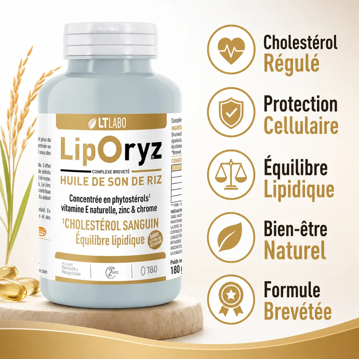 Liporyz 180 capsules huile son de riz régulation cholestérol LT Labo bénéfices santé