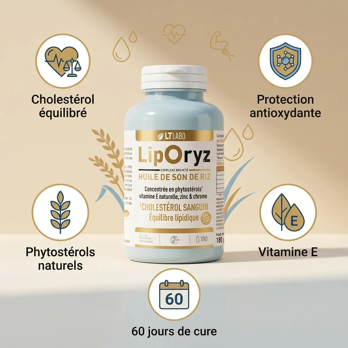 Liporyz 180 capsules huile son de riz LT Labo régule cholestérol antioxydants phytostérols