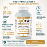 Liporyz 180 capsules huile son de riz phytostérols cholestérol LT Labo complément alimentaire